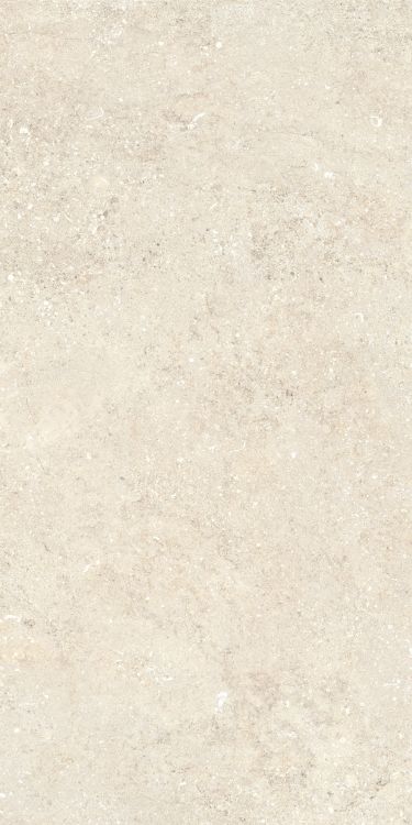 Untamed Wander Warm 12 x 24